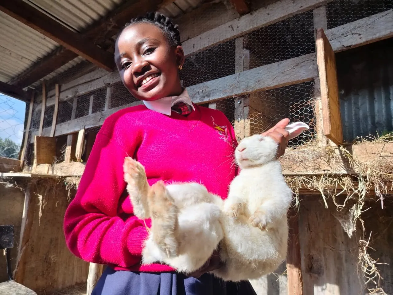 The school farm, where pupils learn about agriculture